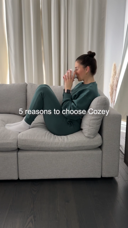 Cozey Furniture: Reasons to purchase this couch